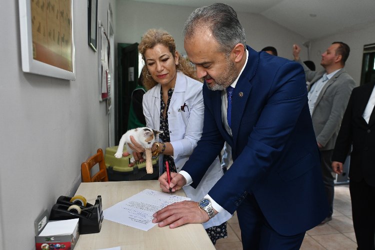Bursa'da Başkan Aktaş, yavru kediyi sahiplendi