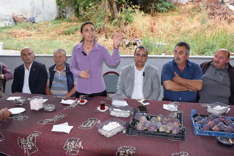 Bursa'da incir üreticilerinin isyanına CHP'liler ses oldu