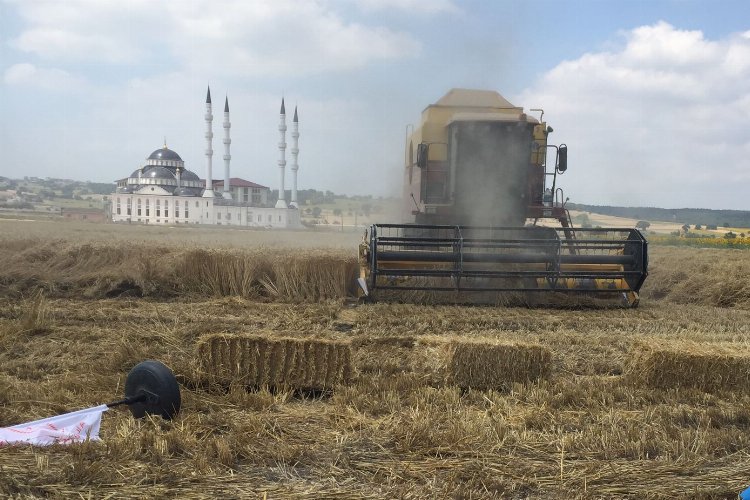 Bursa Nilüfer'de buğday tarla günü düzenlendi