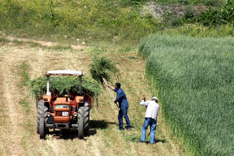 Bursa Yenişehir'de çiftçilere 'ÇKS' uyarısı