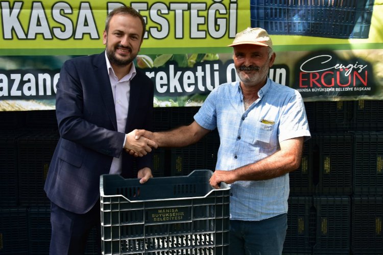 Manisa Turgutlu'da üreticilere zeytin kasası desteği
