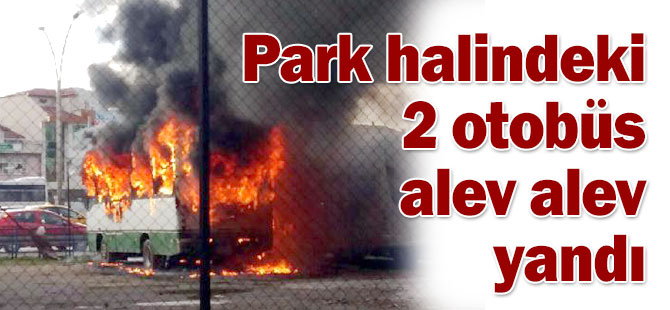 Park halindeki 2 otobüs alev alev yandı