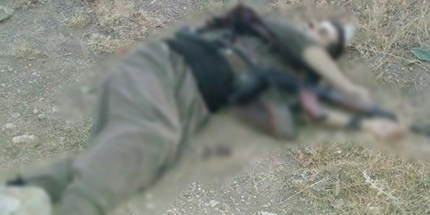 PKK'yı şoka sokan haber! Öldürüldü