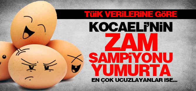 TÜİK verilerine göre Kocaeli'de zam şampiyonu yumurta oldu